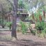 16 Bedroom House for sale in Delicias, Chihuahua, Delicias
