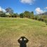  Terrain for sale in Copacabana, Antioquia, Copacabana