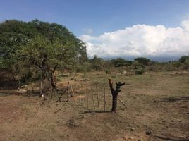  Land for sale in Tlayacapan, Morelos, Tlayacapan