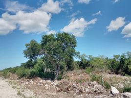  Grundstück zu verkaufen in Chicxulub Pueblo, Yucatan, Chicxulub Pueblo