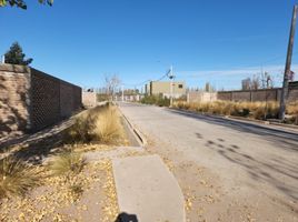  Land for sale in Maipu, Mendoza, Maipu