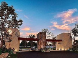  Grundstück zu verkaufen in Conkal, Yucatan, Conkal