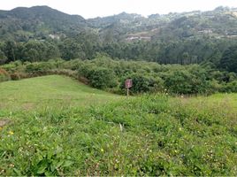 Terrain à vendre à Rionegro, Antioquia, Rionegro, Antioquia