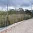  Terreno (Parcela) en venta en Karangploso, East Jawa, Karangploso