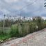  Terreno (Parcela) en venta en Karangploso, East Jawa, Karangploso