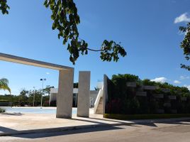  Grundstück zu verkaufen in Tixkokob, Yucatan, Tixkokob
