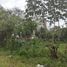 Land for sale in Cozumel, Quintana Roo, Cozumel