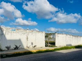  Land for sale in Centro, Tabasco, Centro, Tabasco