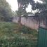  Land for sale in Muna, Yucatan, Muna