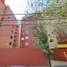 2 Habitación Apartamento en venta en Miguel Hidalgo, Ciudad de México, Miguel Hidalgo