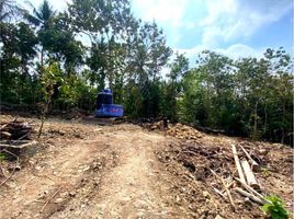  Land for sale in Pengasih, Kulon Progo, Pengasih