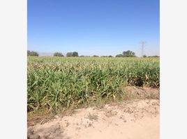  Grundstück zu verkaufen in Torreon, Coahuila, Torreon