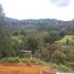  Land for sale in Envigado, Antioquia, Envigado