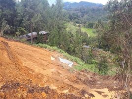  Land for sale in Envigado, Antioquia, Envigado