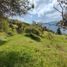  Land for sale in Girardota, Antioquia, Girardota