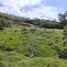  Land for sale in Girardota, Antioquia, Girardota