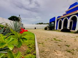 Maison 4 chambre à vendre à Conkal, Yucatan, Conkal