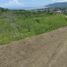  Land for sale in Puerto Lopez, Manabi, Puerto Lopez, Puerto Lopez