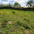  Land for sale in Pereira, Risaralda, Pereira