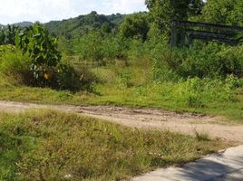  Land for sale in West Nusa Tenggara, Praya, Lombok Tengah, West Nusa Tenggara