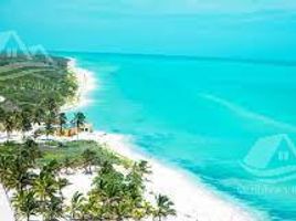  Land for sale in Celestun, Yucatan, Celestun