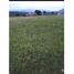  Land for sale in Punilla, Cordoba, Punilla