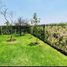 3 Schlafzimmer Haus zu vermieten in El Marques, Queretaro, El Marques