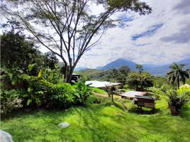 2 Bedroom Villa for sale in Bare Foot Park (Parque de los Pies Descalzos), Medellin, Medellin