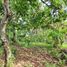  Land for sale in Selemadeg, Tabanan, Selemadeg