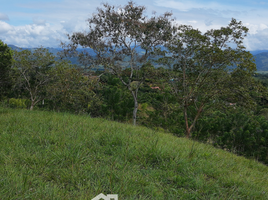  Terreno (Parcela) en venta en Caldas, Risaralda, Caldas