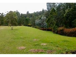  Grundstück zu verkaufen in Rionegro, Antioquia, Rionegro