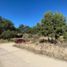  Land for sale in Hueyotlipan, Tlaxcala, Hueyotlipan, Tlaxcala