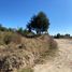  Land for sale in Hueyotlipan, Tlaxcala, Hueyotlipan, Tlaxcala