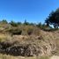  Land for sale in Hueyotlipan, Tlaxcala, Hueyotlipan, Tlaxcala