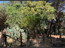 Land for sale in Morelia, Michoacan, Morelia, Michoacan