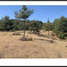  Land for sale in Morelia, Michoacan, Morelia, Michoacan