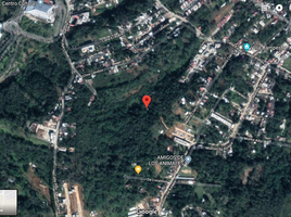 在Coatepec, Veracruz出售的 土地, Coatepec