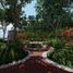  Land for sale in Sinanche, Yucatan, Sinanche, Yucatan