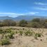  Land for sale in Comala, Colima, Comala