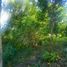  Land for sale in Calotmul, Yucatan, Calotmul