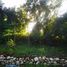  Land for sale in Calotmul, Yucatan, Calotmul