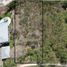  Terreno (Parcela) en venta en Conkal, Yucatán, Conkal