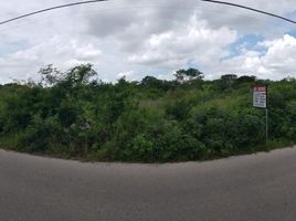 Terrain à vendre à Conkal, Yucatan, Conkal