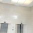 315 m2 Office for rent in Miguel Hidalgo, Mexico City, Miguel Hidalgo