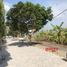  Land for sale in Canggu, Bali, Canggu