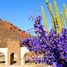  Grundstück zu verkaufen in Guaymas, Sonora, Guaymas