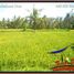  Land for sale in Indonesia, Blahbatu, Gianyar, Bali, Indonesia