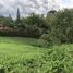  Land for sale in Marinilla, Antioquia, Marinilla