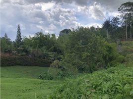  Land for sale in Marinilla, Antioquia, Marinilla