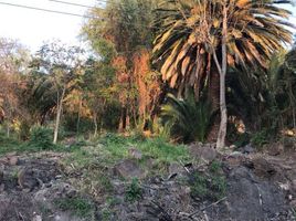  Land for sale in Zapotlanejo, Jalisco, Zapotlanejo, Jalisco
